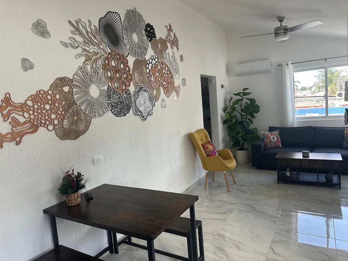 Lit King, Netflix & Piscine, Propre & Neuf Mexico